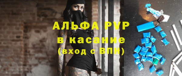 дмт Бердск