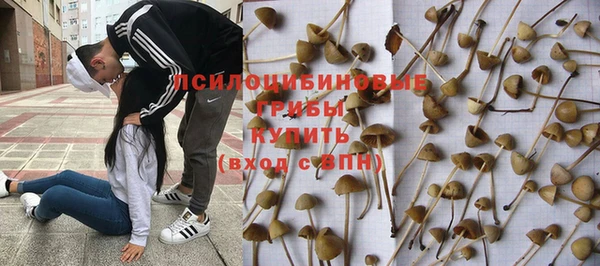 гашишное масло Мегион