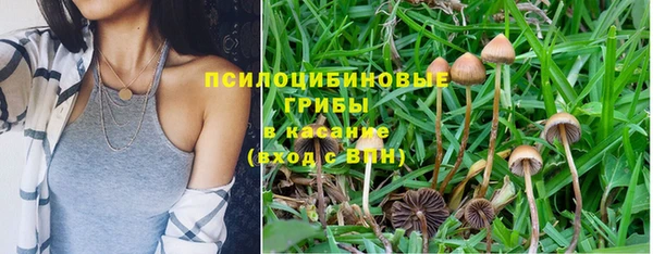 MESCALINE Михайлов