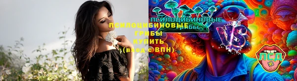 кокс Михайловск