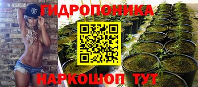 Альфа ПВП Аргун