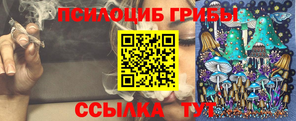 Галлюциногенные грибы прущие грибы  Белореченск 